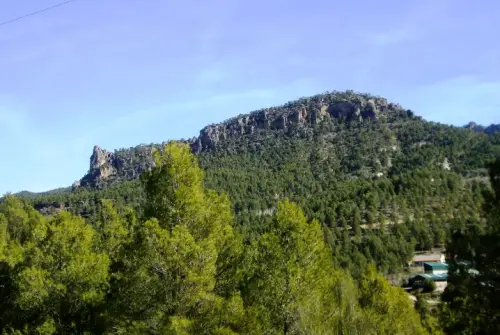 Calar Sima-Ladonal-El Saltador-El Romeral-Arguellite-Plañel