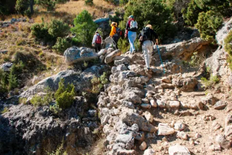 Calar Sima-Los Prados Rincón Cavero-Mestas