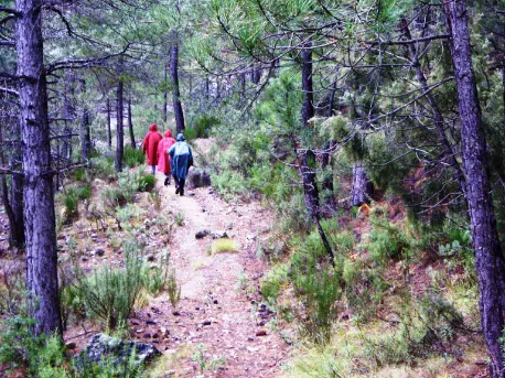 Calar Sima-Plañel-Alcantarilla-Aceas-Plañel