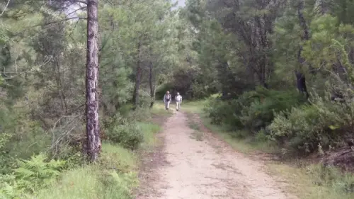 Calar del Mundo Arenal-Cañada Mojones-Arroyo de la Puerta