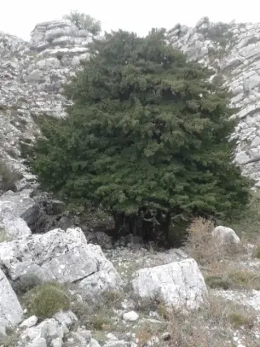 20131019 130852-11.25.27