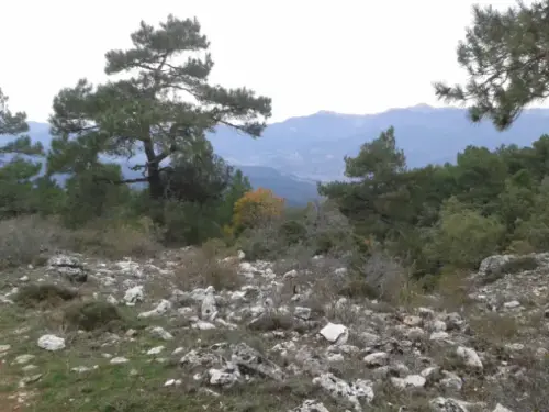 20131019 144256-11.25.27