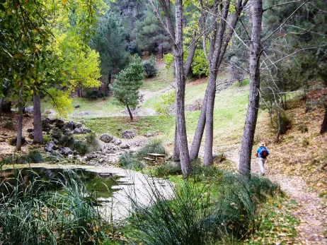 Calar del Mundo Arroyofrío- Bonache-Las Covatillas-Dolina-Cotillas