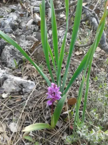 1398395 10202748498170381 2985098388161476460 o