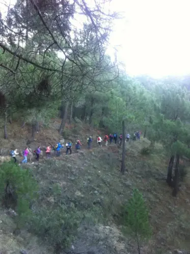 60dd3bbe-58d4-4ac4-b67a-40ce7b895b5c