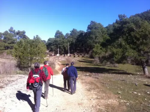 e853563f-04ec-4e8f-a6b8-60e73daedc3e