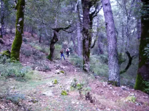 Calar del Mundo-Dolina melojos (Simón y Jesús)