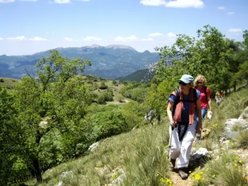 Calar del Mundo-Dolina melojos- Camino Cotillas