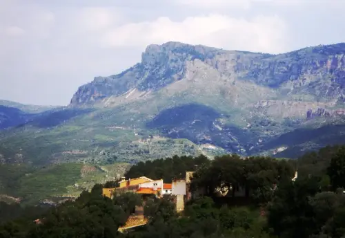 IMG 1811-Alcantarilla-de-Arriba