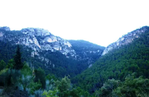 Calar Sima-Alcantariila Huecos de Bañares(I)