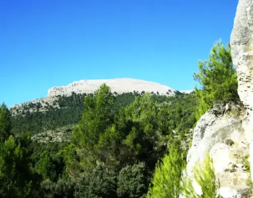 IMG 1856-Majadal-Alto-1359-m