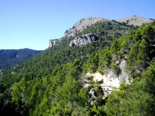 IMG 1881-Molata-Chica-1269-m