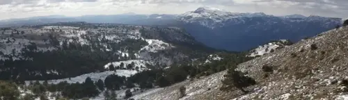 2012-02-04-13.07.44-12.15.19