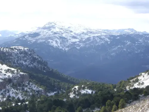 IMG 1367-Calar-de-la-Sima