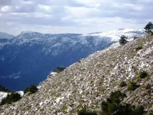 IMG 1369-Calarejos-y-Pico-Calar