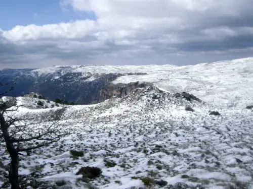 IMG 1380-Pico-Calar-y-Calarejos