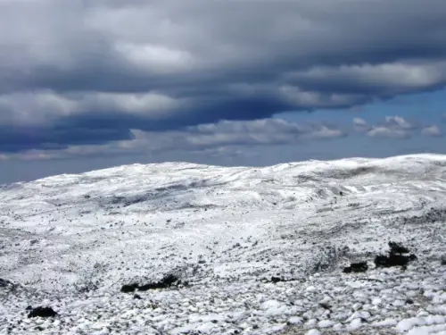 IMG 1382-Los-Viboreros