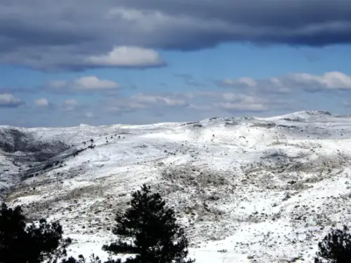 IMG 1385-Los-Vivoreros