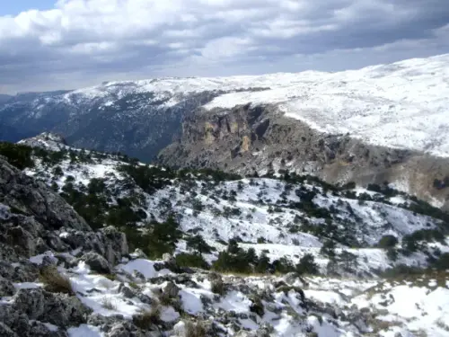 IMG 1388-Las-Peladillas