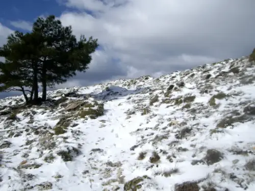 IMG 1394-Hacia-detras