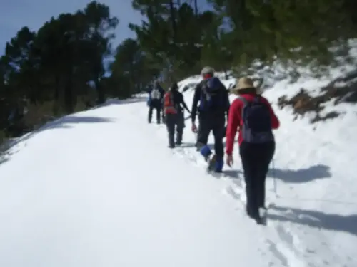 Calar del Mundo-La Parrilla- Collado del Puerto (nieve)