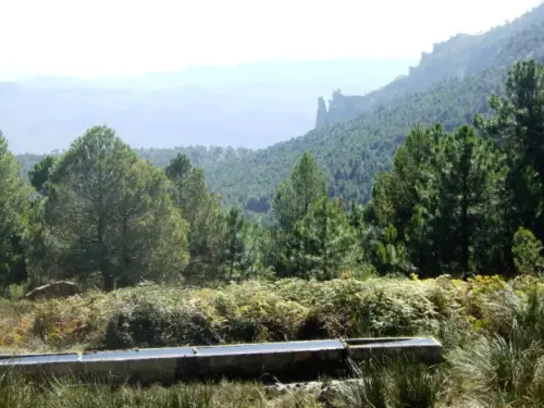 Calar del Mundo-La Parrilla-Collado del Puerto-Molejón de Moropeche-La Parrilla