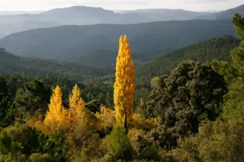 Calar del Mundo-Majada Carrasca- Los Ortegas- Torre Raspilla