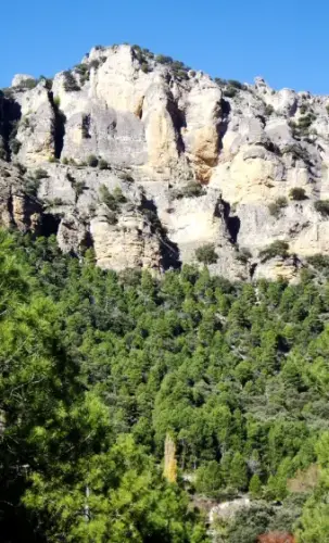 IMG 1980-El-Toconal-Prado-Morcillo