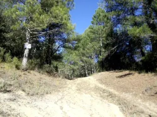 IMG 1994-Senda-de-Las-Majadas-¿Las-Hoyas