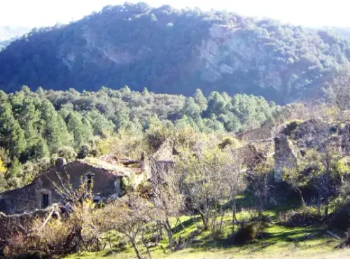 IMG 1996-Prado-de-Juan-Ruiz