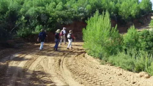 Calar del Mundo-Molino Garrucha- Moropeche (Tus)