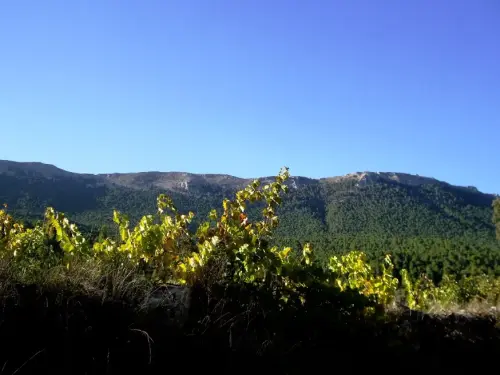 Calar del Mundo-Moropeche-La Parrilla-Las Quebradas