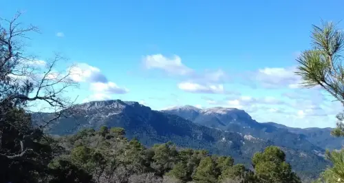 1a5d11ef92b5909-a-nw-p