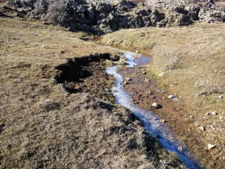 24ef885a0a1fa3f-a-nw-p