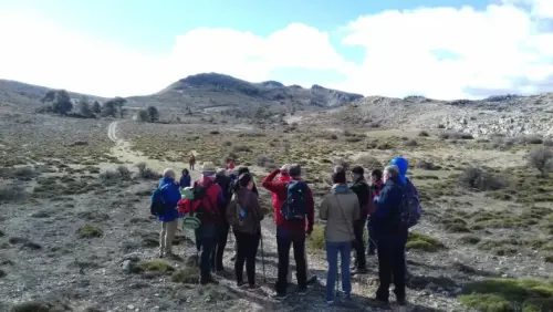 36d7e224aa91d4-a-nw-p-1