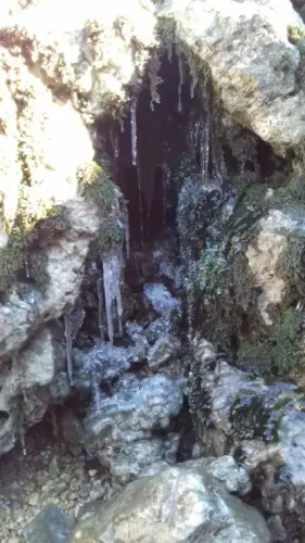 9569fab81b0a8c-a-nw-p