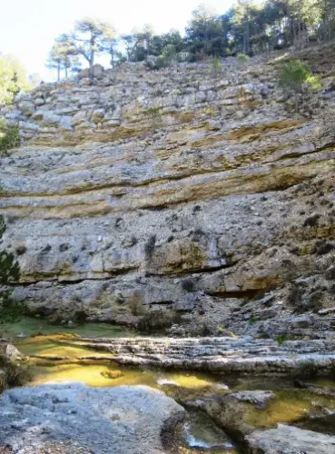 IMG 5468-Arroyo-del-Tejo