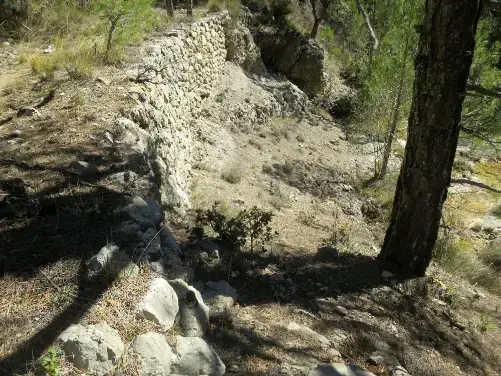 IMG 5471-Hormas-en-el-camino-de-herradura