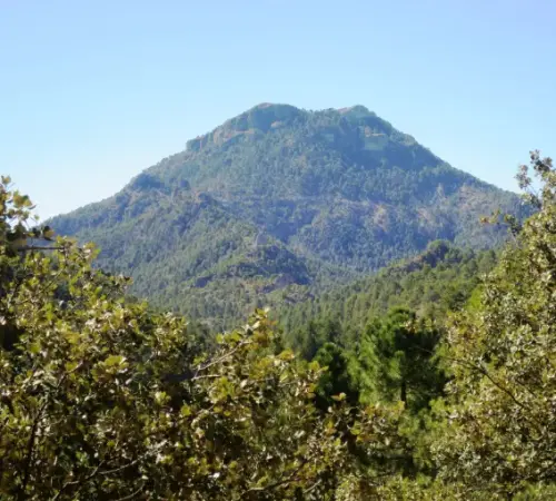 IMG 5491-Navalespino