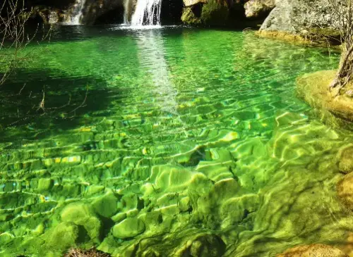 Calares Sª Segura-Arroyo del Tejo-La Balazna-Miller