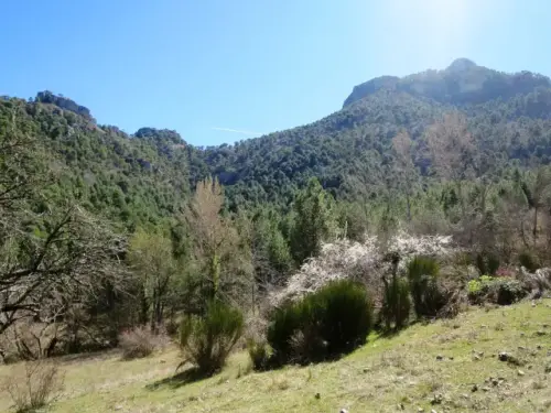 IMG 5562-Navalespino