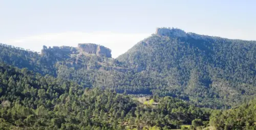 IMG 5585-Cerro-Bucentaina