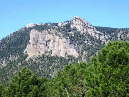 IMG 5586-Puntal-de-la-Jedrea-Ajedrea