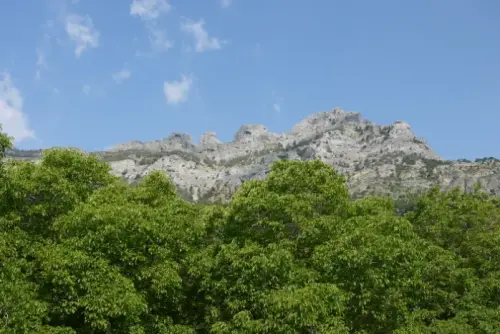 Calares Sª Segura-Calar del Cobo,16