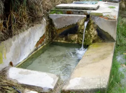 IMG 0378.-Antegil-YesteJPG