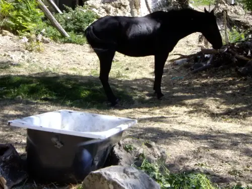 Baneras-abrevadero-Calar-de-la-Sima-Los-Voladores