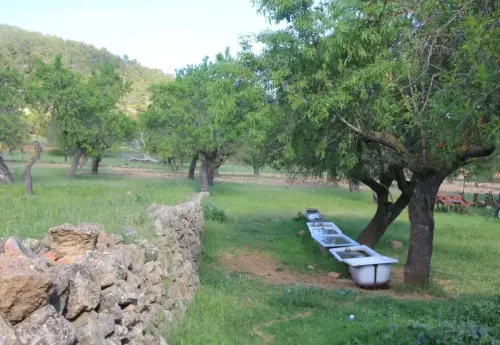 Baneras-abrevadero-Canada-de-Haches-Bogarra