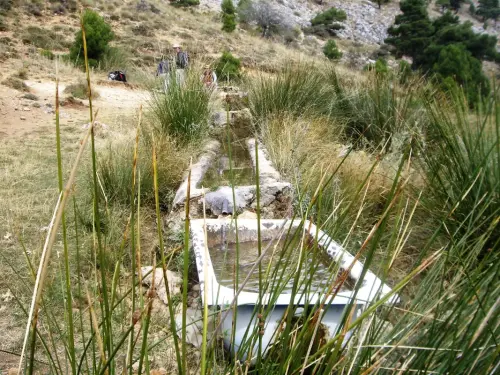 Baneras-abrevadero-Pino-de-los-Muchachos-Paterna2