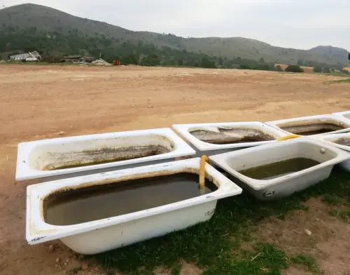 Baneras-abrevadero-Por-Hellin2a