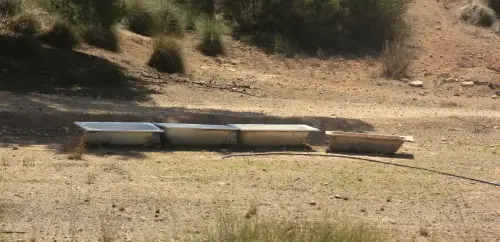 Baneras-abrevadero-Por-Hellin4